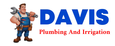 Trusted plumber in DUFF